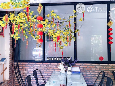 Cành cây khô nhiều nhánh nhỏ decor tự nhiên [Dài 1m2-1m5/ Ngẫu nhiên] CAYCUI-08