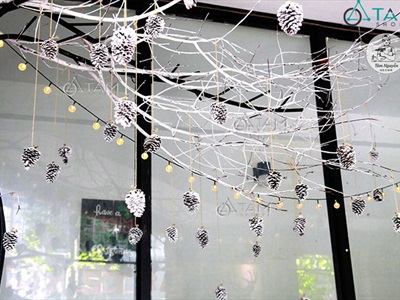 Cành cây khô nhiều nhánh nhỏ decor tự nhiên [Dài 1m2-1m5/ Ngẫu nhiên] CAYCUI-08