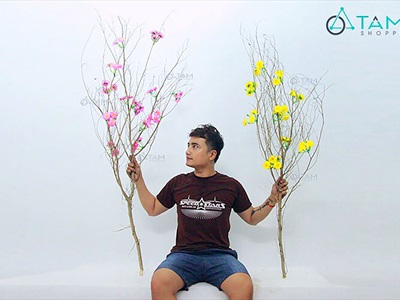 Cành cây khô nhiều nhánh nhỏ decor tự nhiên [Dài 1m2-1m5/ Ngẫu nhiên] CAYCUI-08