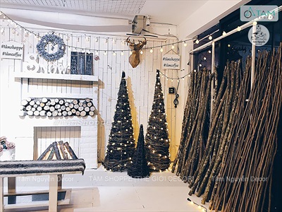 Khúc củi, cành cây decor nhiều kích cỡ [Nhiều loại/ Tự nhiên] CAYCUI-06
