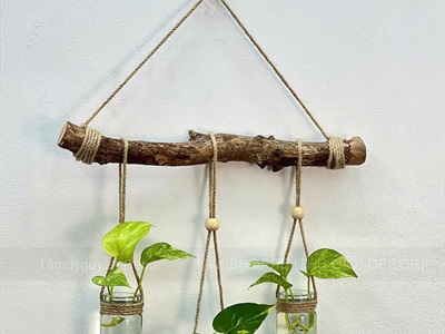 Khúc củi, cành cây decor nhiều kích cỡ [Nhiều loại/ Tự nhiên] CAYCUI-06