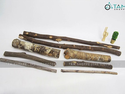 Khúc củi, cành cây decor nhiều kích cỡ [Nhiều loại/ Tự nhiên] CAYCUI-06