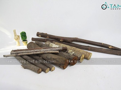 Khúc củi, cành cây decor nhiều kích cỡ [Nhiều loại/ Tự nhiên] CAYCUI-06