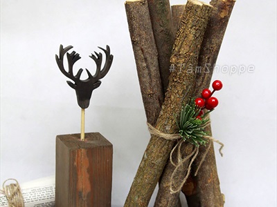 Khúc củi, cành cây decor nhiều kích cỡ [Nhiều loại/ Tự nhiên] CAYCUI-06