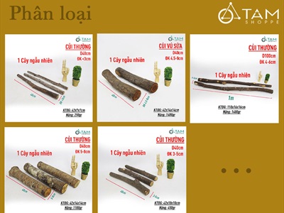 Khúc củi, cành cây decor nhiều kích cỡ [Nhiều loại/ Tự nhiên] CAYCUI-06