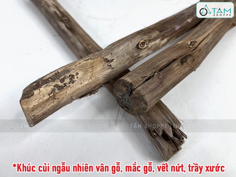 Khúc củi lột vỏ trang trí lò sưởi dài 40cm CAYCUI-01