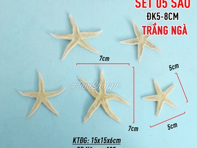 Set 05 sao biển Astro đủ màu 5-7cm SAOBIEN-01