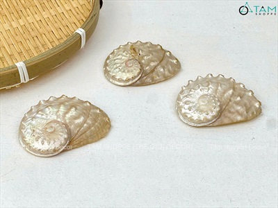 Set 03 vỏ bào ngư xà cừ  [4-7m/ Ngẫu nhiên] VOSO-07