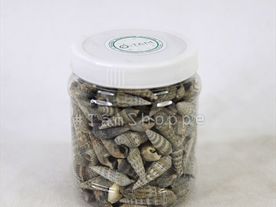 Vỏ ốc đinh nâu đen [Hủ 250-270gr/ Ngẫu nhiên] VOOC-16