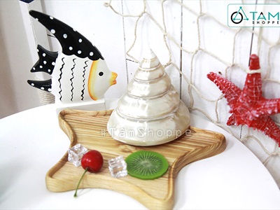 Vỏ ốc đụn xà cừ 10-12cm [01 Con / Ngẫu nhiên] VOOC-11