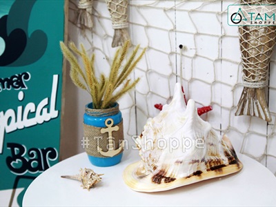 Vỏ ốc kim khôi vàng cỡ đại [Siêu to - Nặng tay] VOOC-13