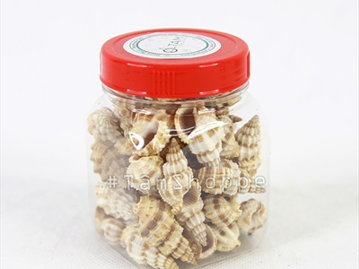 Vỏ ốc len [Hủ 100-110gr/ Ngẫu nhiên] VOOC-18
