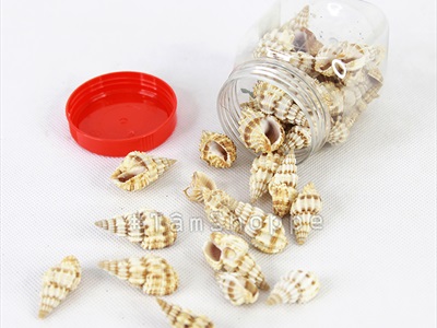 Vỏ ốc len [Hủ 100-110gr/ Ngẫu nhiên] VOOC-18