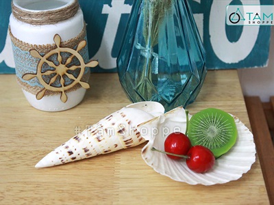 Vỏ ốc măng [Dài 10-15cm/ Ngẫu nhiên] VOOC-19