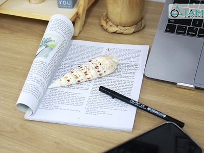 Vỏ ốc măng [Dài 10-15cm/ Ngẫu nhiên] VOOC-19