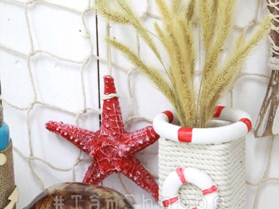 Vỏ ốc nga ốc heo nhiều cỡ [ Mini - Cỡ đại/ Đủ loại] VOOC-12