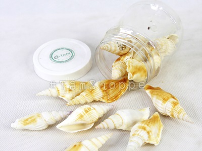 Vỏ ốc nhảy nhiều loại [Hủ nhiều con/ Ngẫu nhiên] VOOC-20