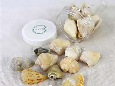 Vỏ ốc nhảy nhiều loại [Hủ nhiều con/ Ngẫu nhiên] VOOC-20