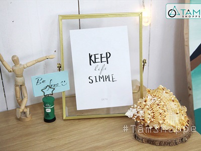 Vỏ ốc tù và cỡ lớn [Khoảng 10x16cm/ Ngẫu nhiên] VOOC-23