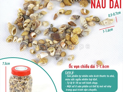 Vỏ ốc vụn nhỏ nhiều loại [Hủ 140-160gr/ Siêu nhiều con] VOOC-24