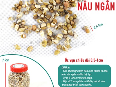 Vỏ ốc vụn nhỏ nhiều loại [Hủ 140-160gr/ Siêu nhiều con] VOOC-24