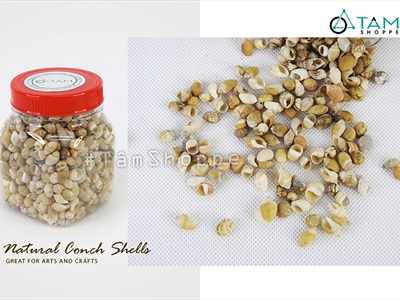 Vỏ ốc vụn nhỏ nhiều loại [Hủ 140-160gr/ Siêu nhiều con] VOOC-24