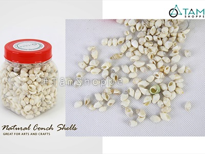 Vỏ ốc vụn nhỏ nhiều loại [Hủ 140-160gr/ Siêu nhiều con] VOOC-24