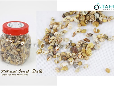 Vỏ ốc vụn nhỏ nhiều loại [Hủ 140-160gr/ Siêu nhiều con] VOOC-24