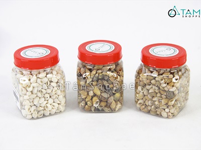 Vỏ ốc vụn nhỏ nhiều loại [Hủ 140-160gr/ Siêu nhiều con] VOOC-24