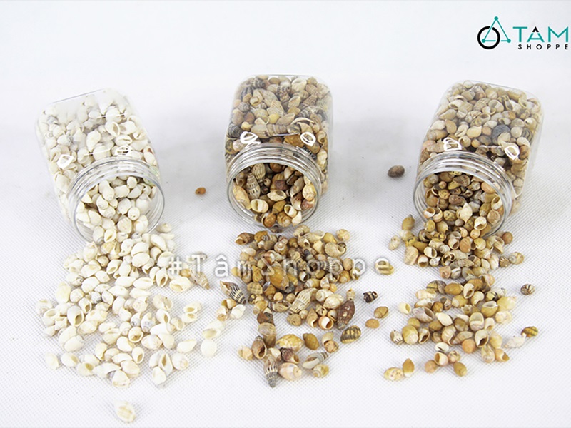 Vỏ ốc vụn nhỏ nhiều loại [Hủ 140-160gr/ Siêu nhiều con] VOOC-24