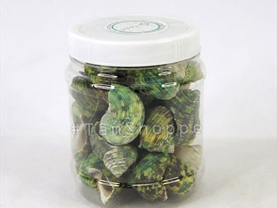 Vỏ ốc xanh [Hủ 180-200gr/ Ngẫu nhiên] VOOC-21