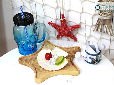 Vỏ sò điệp tự nhiên nhiều cỡ [Từ 3-12cm/ Đủ kiểu] VOSO-06