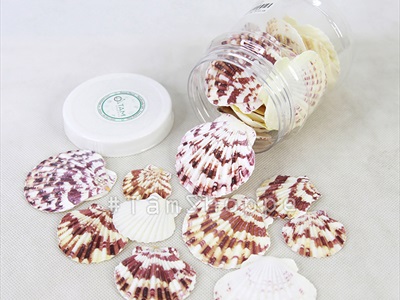 Vỏ sò điệp tự nhiên nhiều cỡ [Từ 3-12cm/ Đủ kiểu] VOSO-06