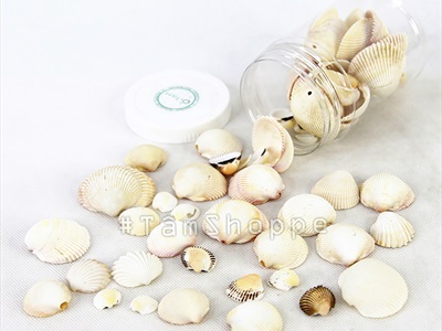 Vỏ sò huyết cồ [Hủ 230-250gr/ Lộn xộn cỡ] VOSO-05