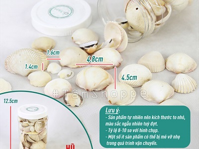 Vỏ sò huyết cồ [Hủ 230-250gr/ Lộn xộn cỡ] VOSO-05