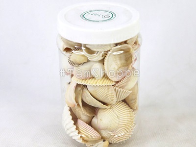 Vỏ sò huyết cồ [Hủ 230-250gr/ Lộn xộn cỡ] VOSO-05