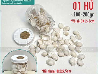 Vỏ sò huyết trắng làm handmade [Theo hủ/ Nhiều cỡ] VOSO-05