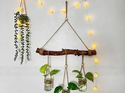 Vỏ sò huyết trắng làm handmade [Theo hủ/ Nhiều cỡ] VOSO-05