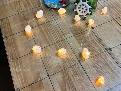 Vỏ sò huyết trắng làm handmade [Theo hủ/ Nhiều cỡ] VOSO-05