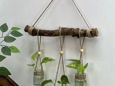 Lọ hoa thuỷ canh treo tường DIY từ cây củi, dây thừng và hủ yến [Có Set tự làm/ Làm sẵn] BINHLOHOA-08