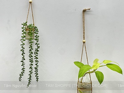Lọ hoa thuỷ canh treo tường DIY từ cây củi, dây thừng và hủ yến [Có Set tự làm/ Làm sẵn] BINHLOHOA-08