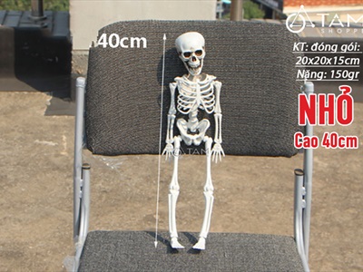 Mô hình bộ xương người như thật nhiều cỡ XUONG-FULL-01