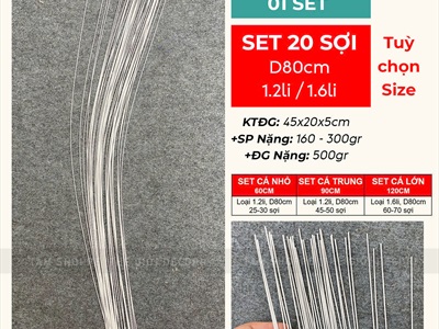 Set phụ kiện tự làm cá chép decor [Có lẻ từng món + Loại đẹp] SET-DIY-02