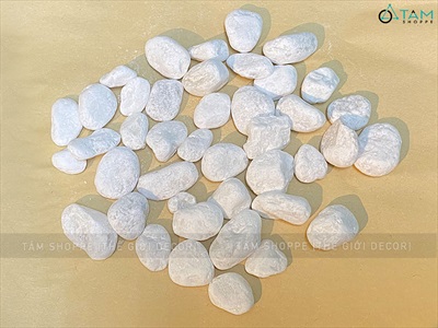 Sỏi đá trắng viên 2-4cm [Bịch 500gr - Sỏi sạch] SOIDA-03