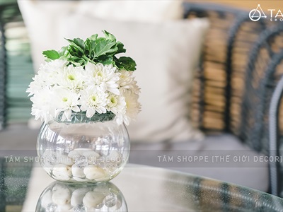 Sỏi đá trắng viên 2-4cm [Bịch 500gr - Sỏi sạch] SOIDA-03