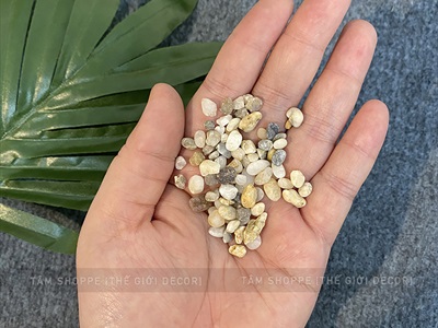 Sỏi nhí trang trí [Bịch 500gr - Sỏi sạch] SOIDA-02