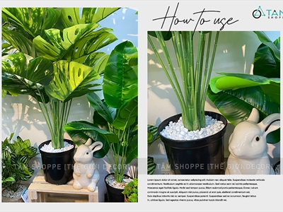 Sỏi nhí trang trí [Bịch 500gr - Sỏi sạch] SOIDA-02