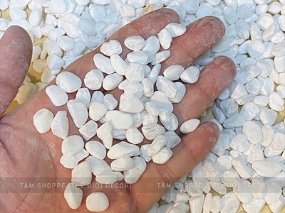 Sỏi nhí trang trí [Bịch 500gr - Sỏi sạch] SOIDA-02
