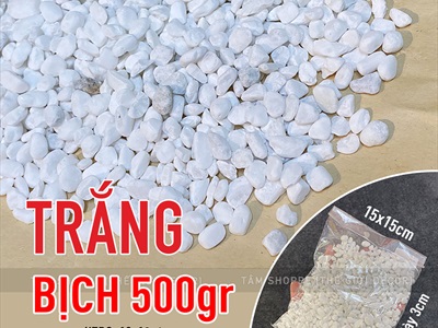 Sỏi nhí trang trí [Bịch 500gr - Sỏi sạch] SOIDA-02