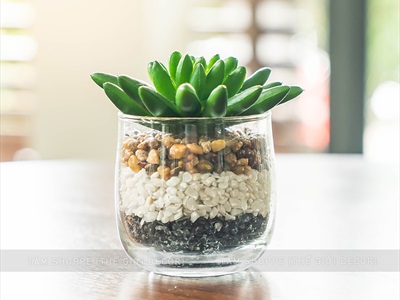 Sỏi nhí trang trí [Bịch 500gr - Sỏi sạch] SOIDA-02